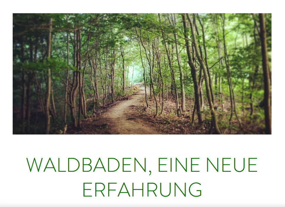 Startseite Walderfahrung
